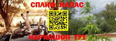 сатива Кулебаки