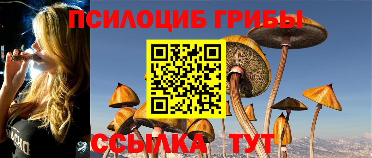 Галлюциногенные грибы Magic Shrooms Елизово