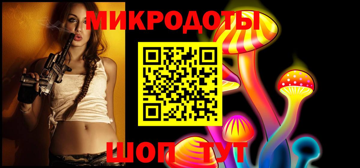 где купить наркоту  Псилоцибиновые грибы GOLDEN TEACHER  Вход с VPN  Елизово  Галлюциногенные грибы Psilocybine cubensis 